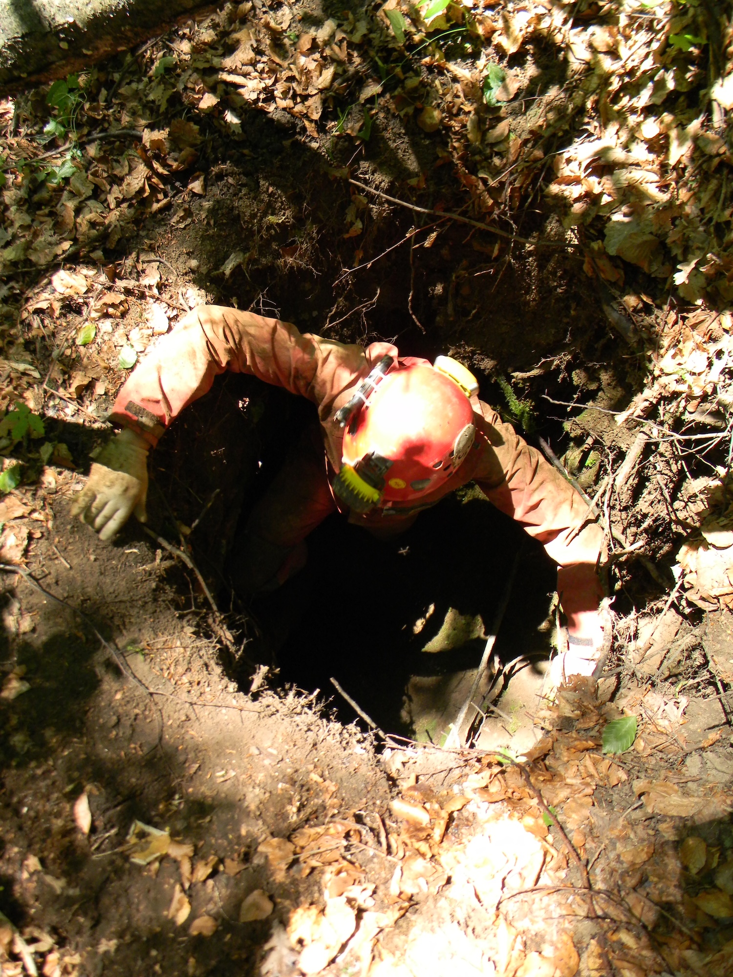 Avenul Izoiul V - Image 1