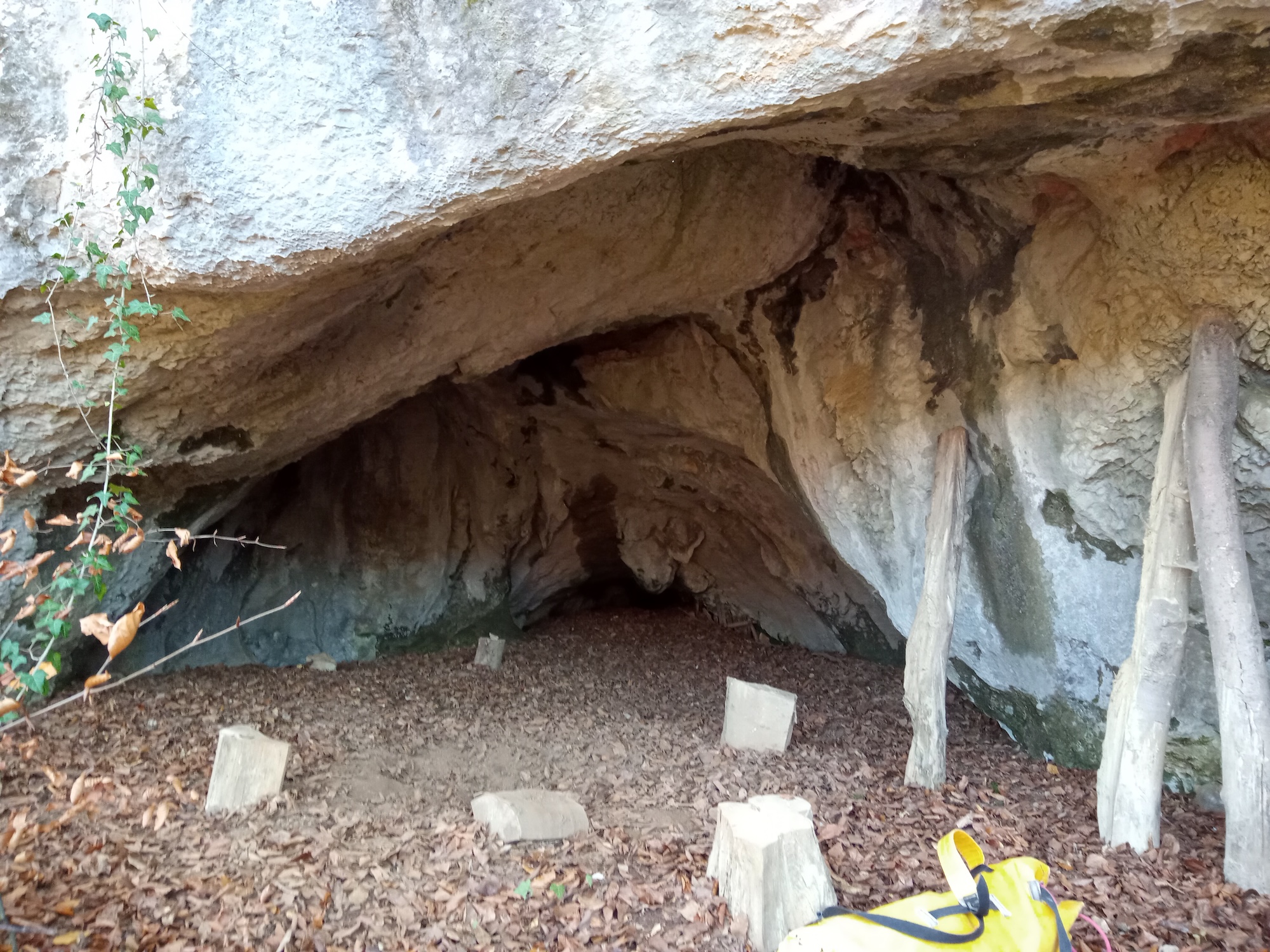 Peştera Albului din Valea Cuţii - Image 2