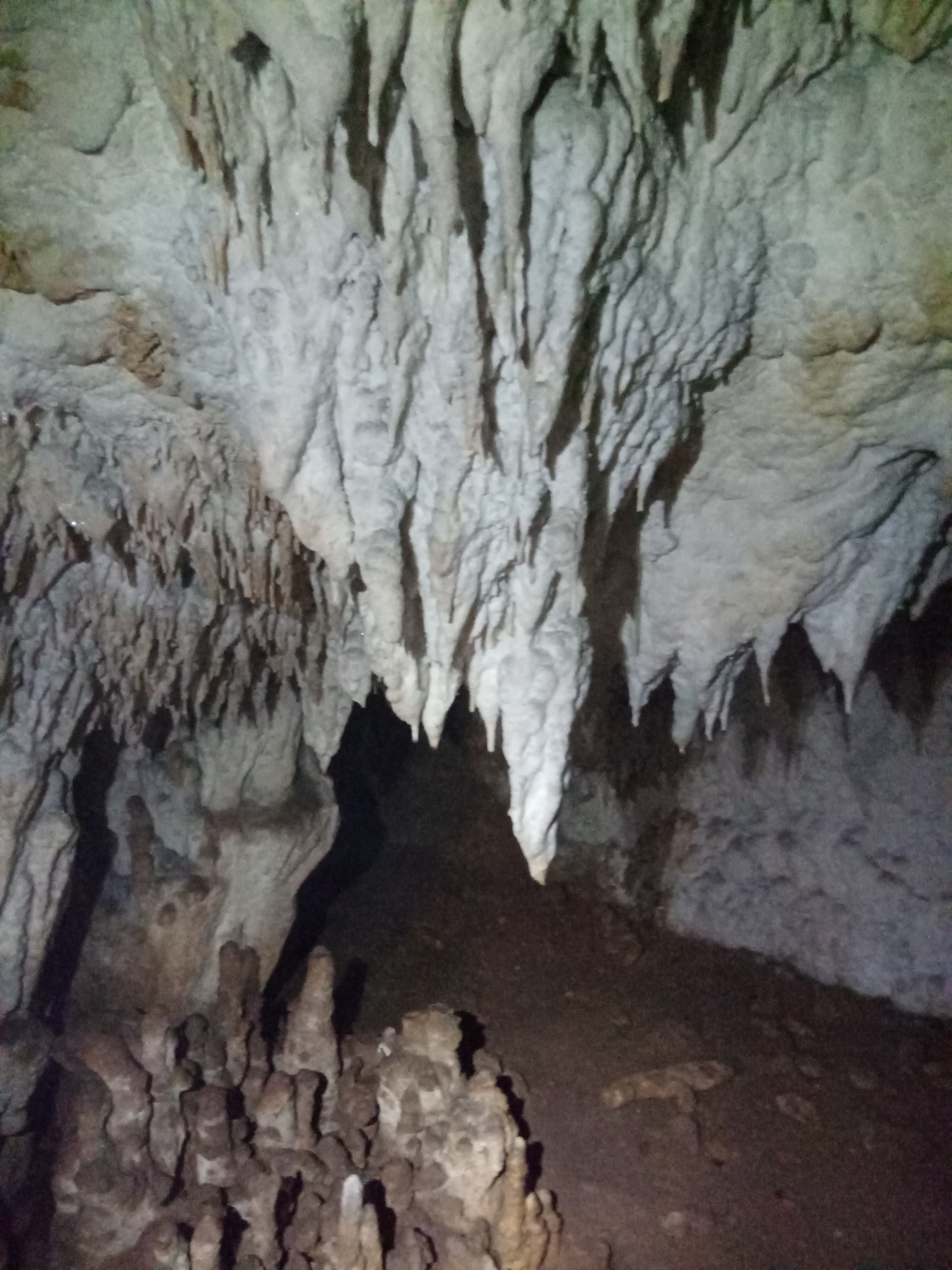 Peştera Albului din Valea Cuţii - Image 4