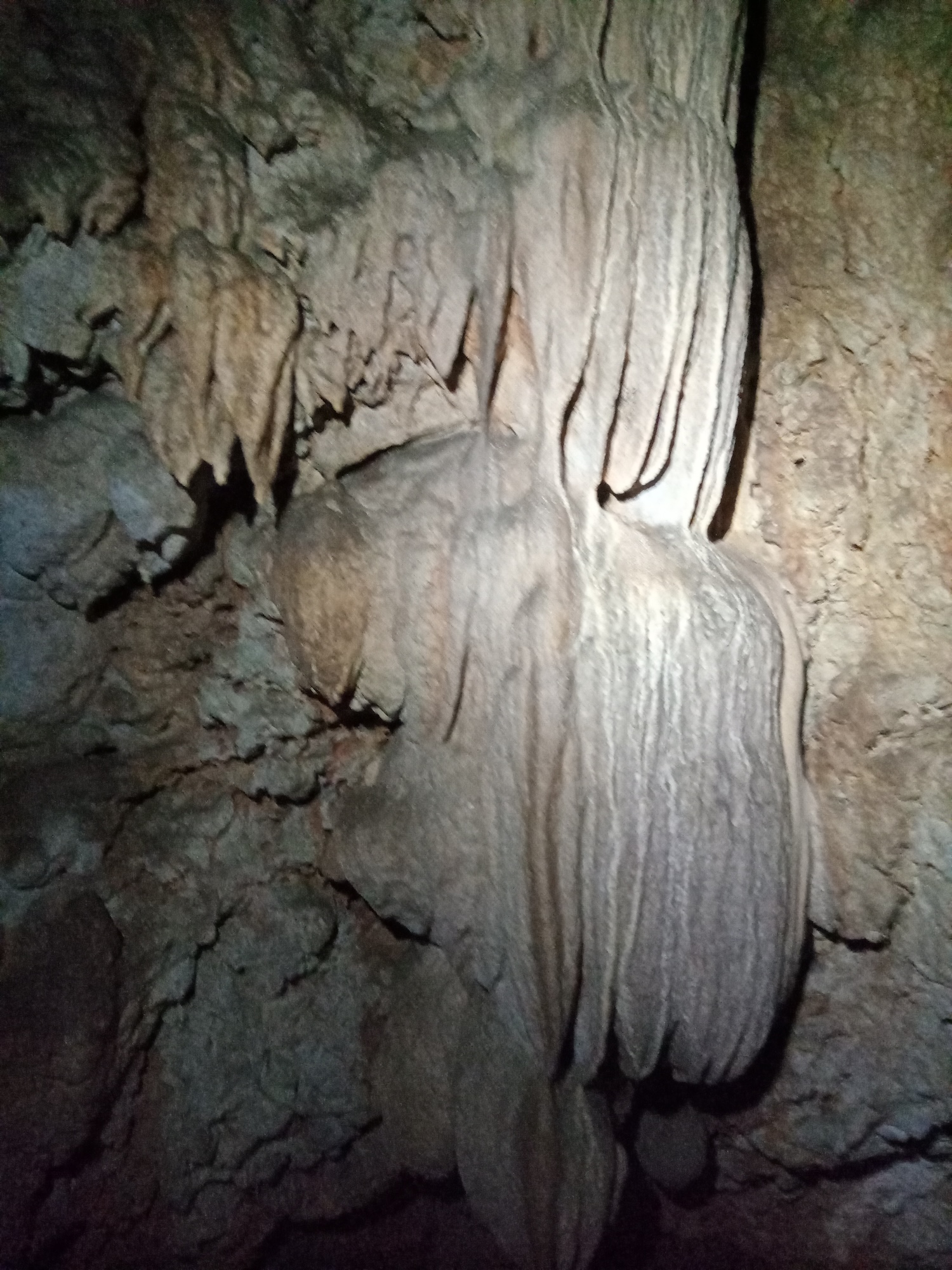 Peştera Albului din Valea Cuţii - Image 5